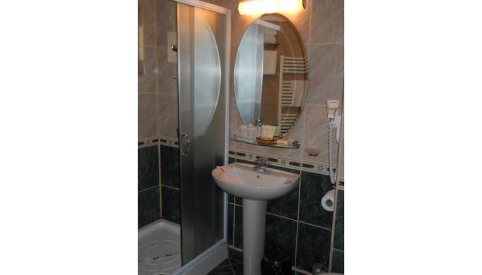 Hotel Casa Domneasca poza 6