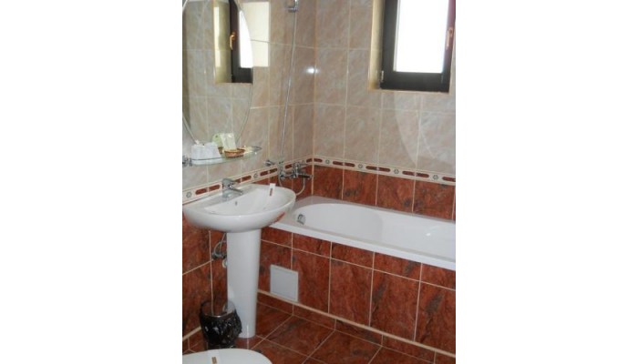 Hotel Casa Domneasca poza 8