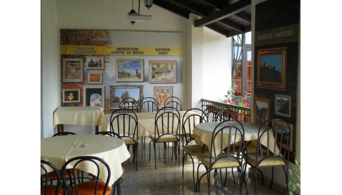 Hotel Casa Domneasca poza 4