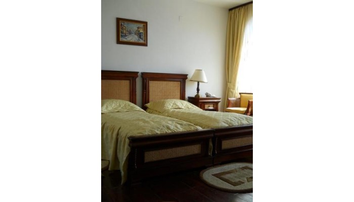 Hotel Casa Domneasca poza 10