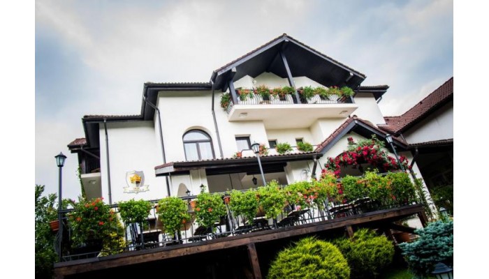 Hotel Casa Domneasca poza 11