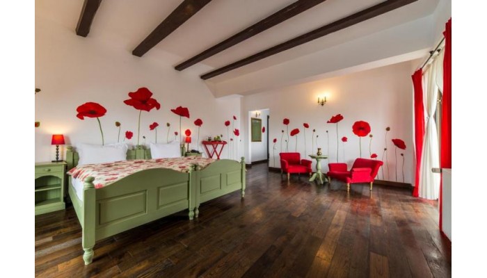 Hotel Conacul Archia poza 4