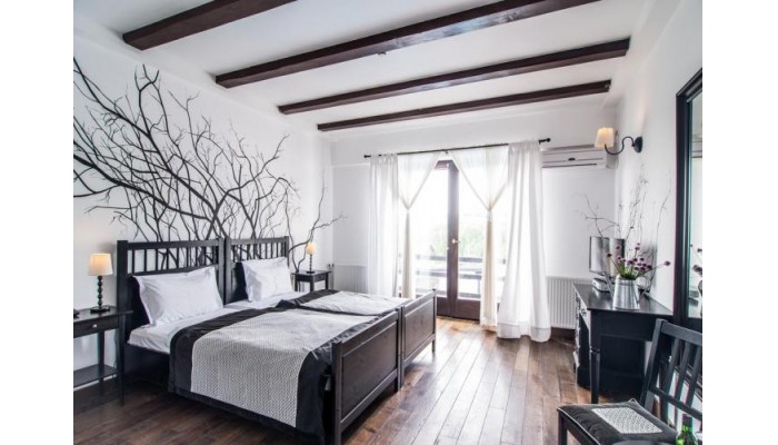 Hotel Conacul Archia poza 6