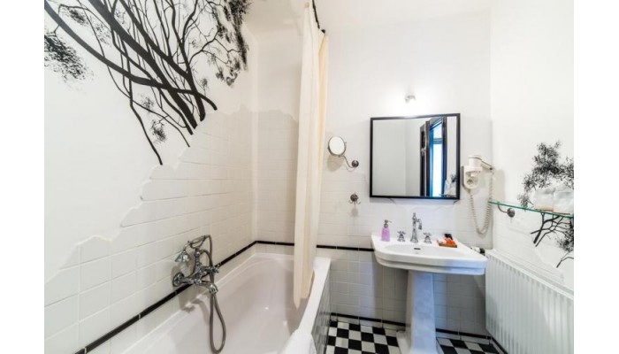 Hotel Conacul Archia poza 8