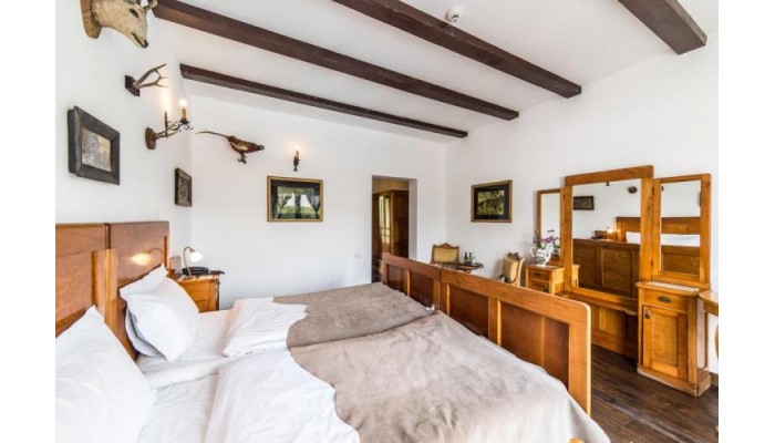 Hotel Conacul Archia poza 5