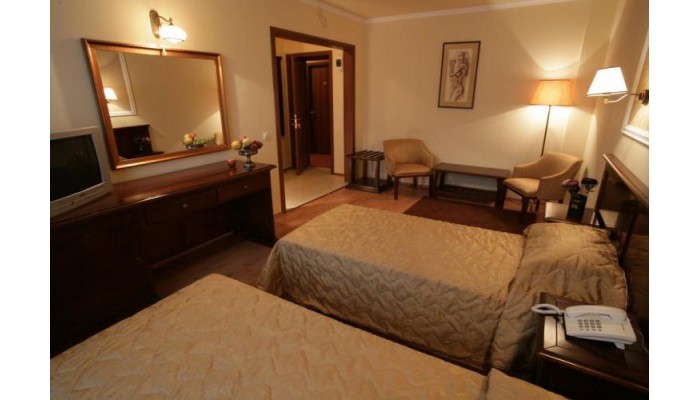 Hotel Wien poza 4