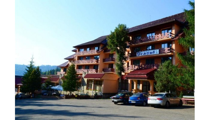 Hotel Bradul poza 0