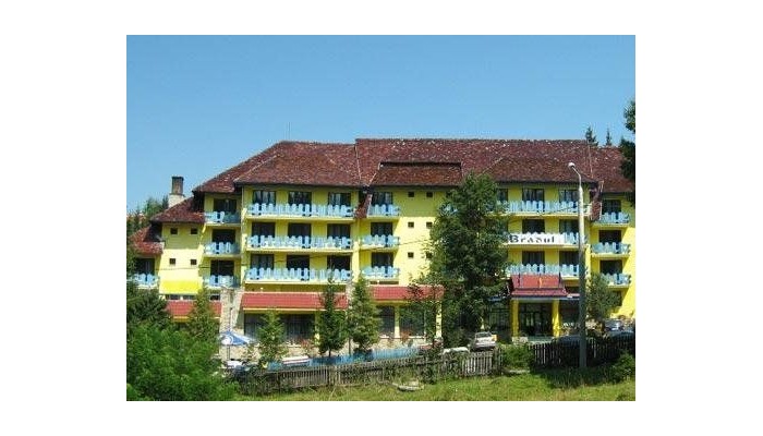 Hotel Bradul poza 1