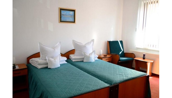 Hotel Bradul poza 6