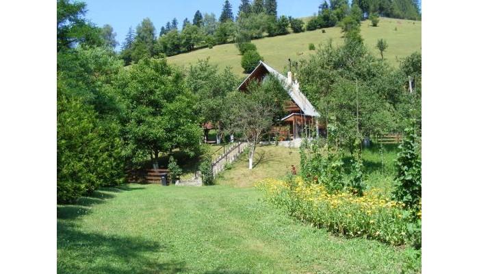 Hotel Cabana Dochita poza 8