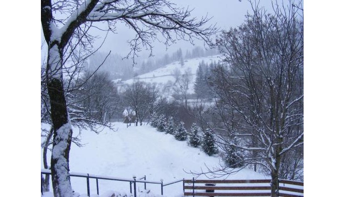 Hotel Cabana Dochita poza 0