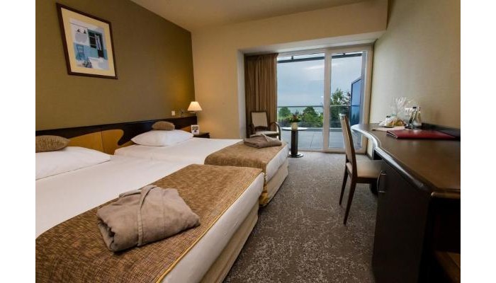 Ana Hotels Europa poza 5