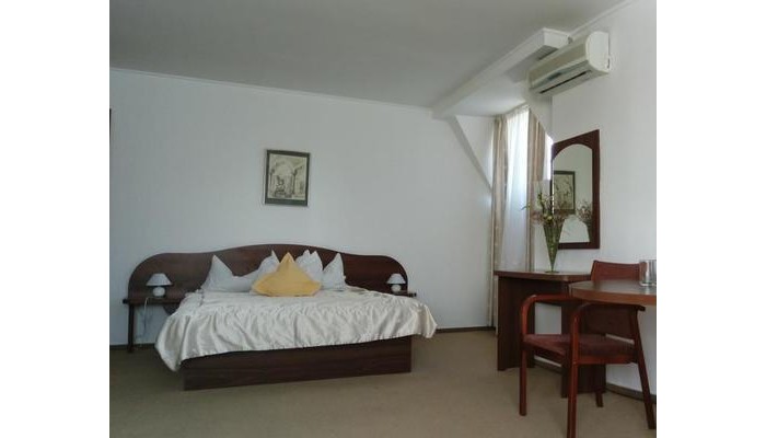 Vila 333 poza 2