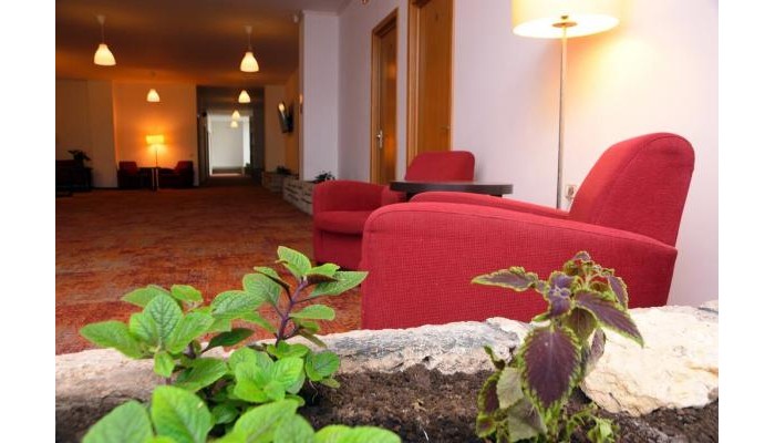 Hotel Mercur poza 15