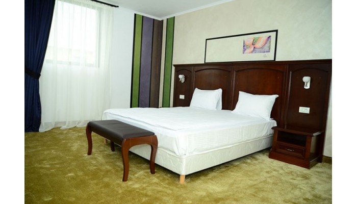 Hotel Amadeus poza 9