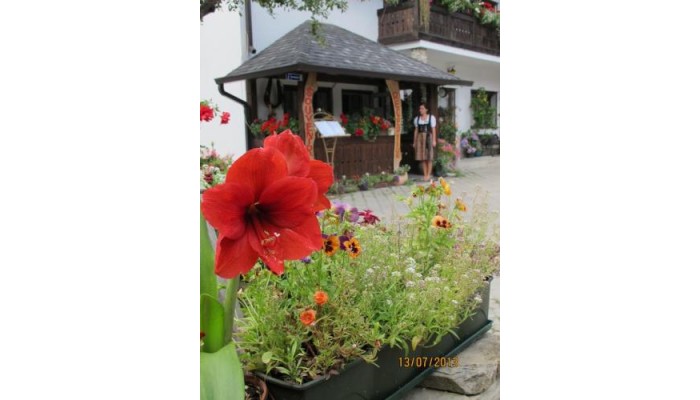 Hotel Hildes Residence poza 0