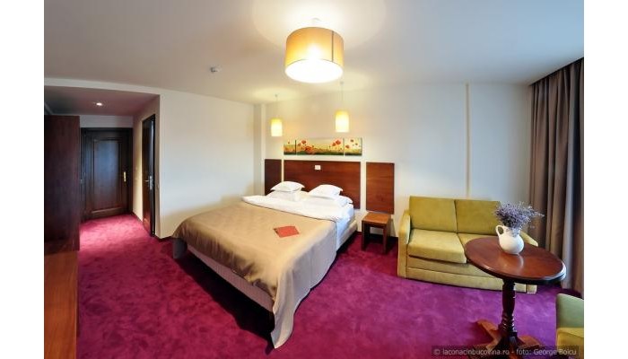 Hotel La Conac In Bucovina poza 40