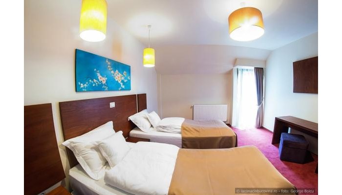 Hotel La Conac In Bucovina poza 41