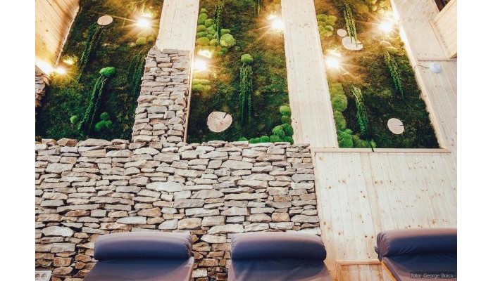 Hotel La Conac In Bucovina poza 24