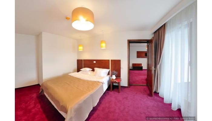 Hotel La Conac In Bucovina poza 44