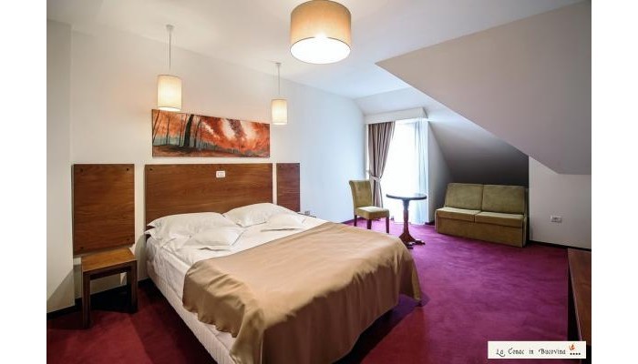 Hotel La Conac In Bucovina poza 45