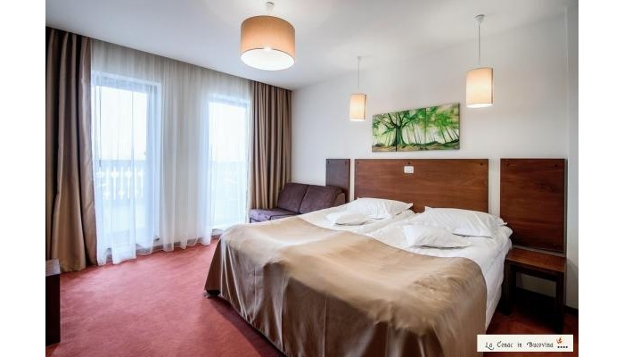 Hotel La Conac In Bucovina poza 46