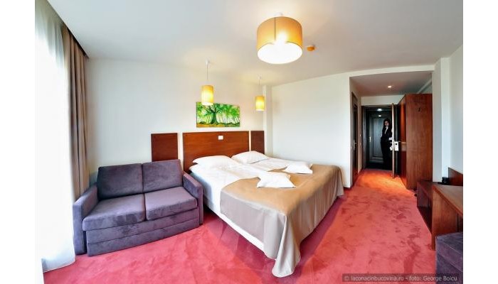 Hotel La Conac In Bucovina poza 47