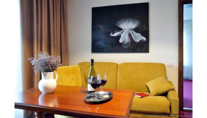 Hotel La Conac In Bucovina poza 48