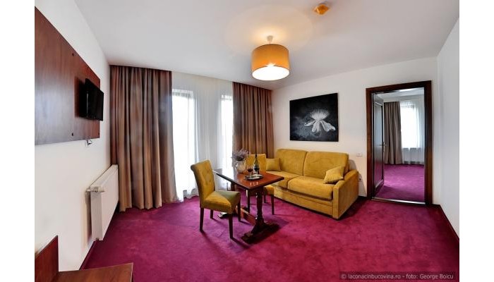Hotel La Conac In Bucovina poza 49
