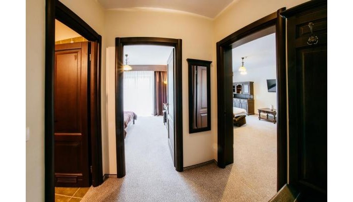 Hotel Piatra Pinului Ski & Spa poza 10