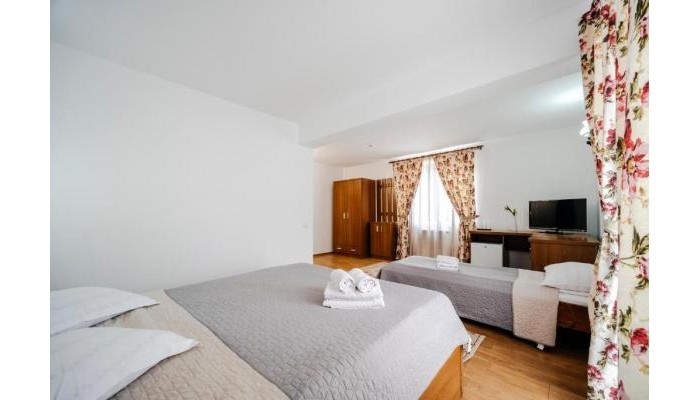 Pensiunea Valeria Voronet poza 1