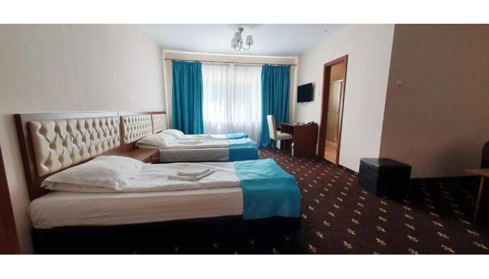 Hotel Hostel Paltinis poza 11