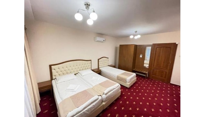 Hotel Hostel Paltinis poza 6