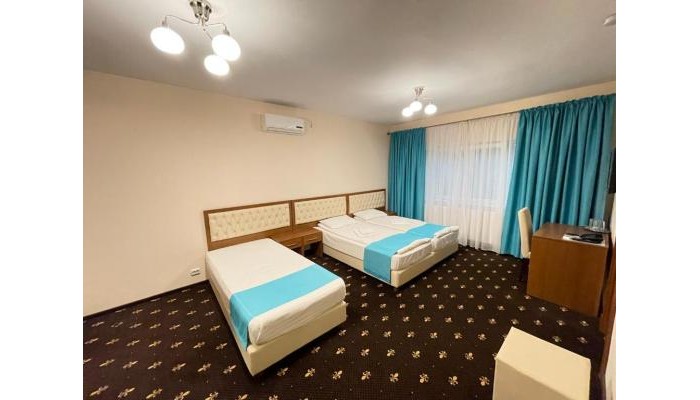 Hotel Hostel Paltinis poza 9