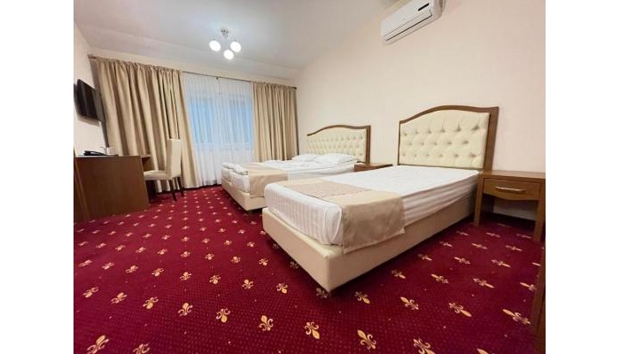 Hotel Hostel Paltinis poza 7