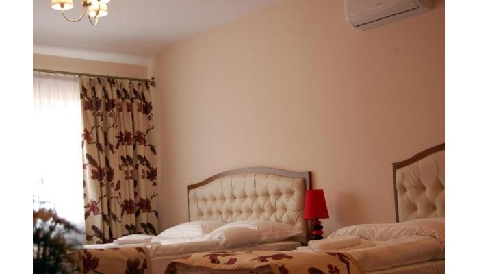 Hotel Hostel Paltinis poza 10