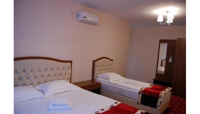 Hotel Hostel Paltinis poza 17