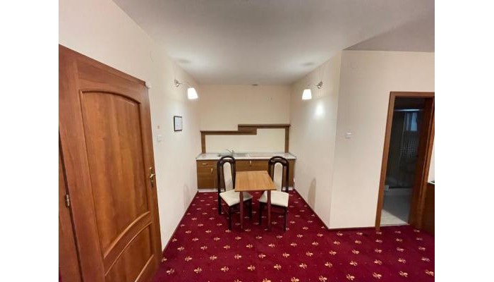 Hotel Hostel Paltinis poza 8