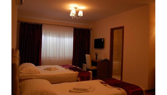 Hotel Hostel Paltinis poza 18