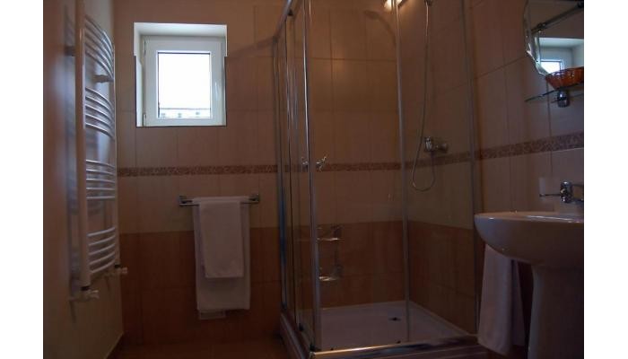 Hotel Hostel Paltinis poza 13