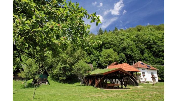 Pensiunea Dacica poza 19