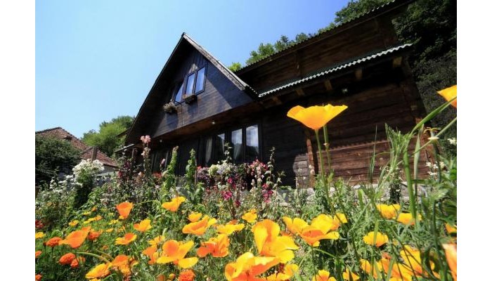 Pensiunea Dacica poza 3