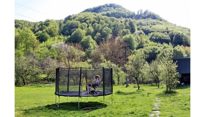 Pensiunea Dacica poza 7