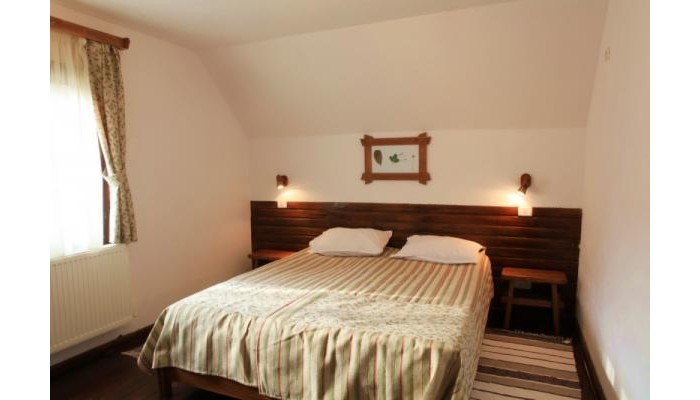 Pensiunea Dacica poza 28