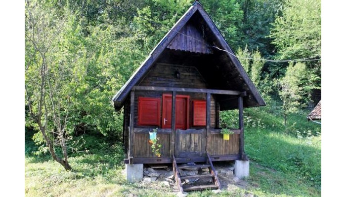 Pensiunea Dacica poza 33