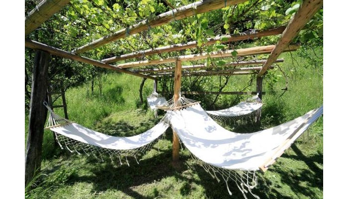 Pensiunea Dacica poza 9