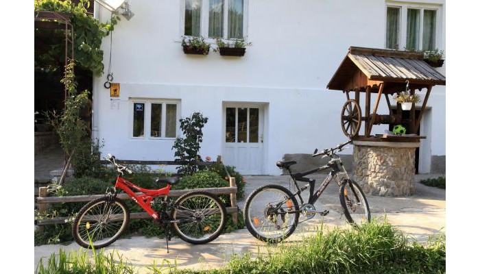 Pensiunea Dacica poza 8