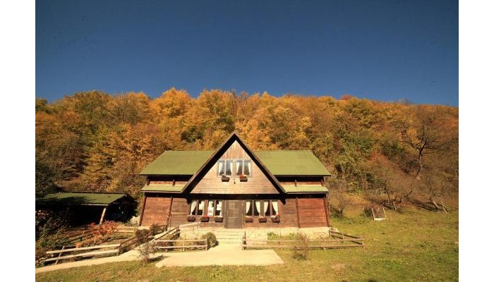 Pensiunea Dacica poza 5