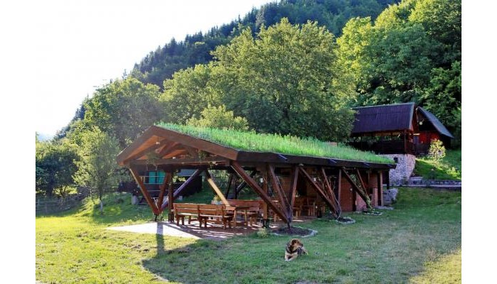 Pensiunea Dacica poza 12