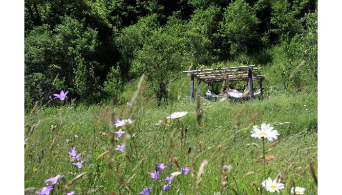 Pensiunea Dacica poza 10